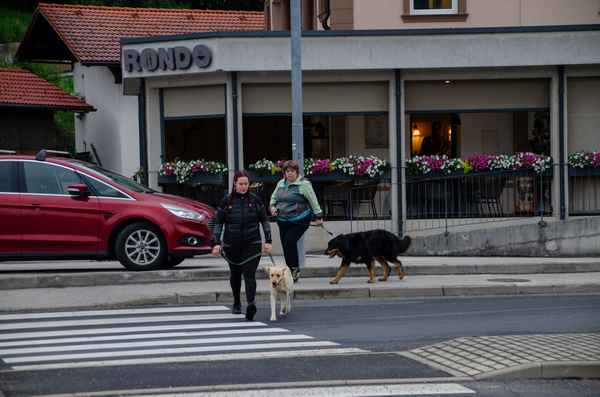 Pomladni tečaji uspešno zaključeni